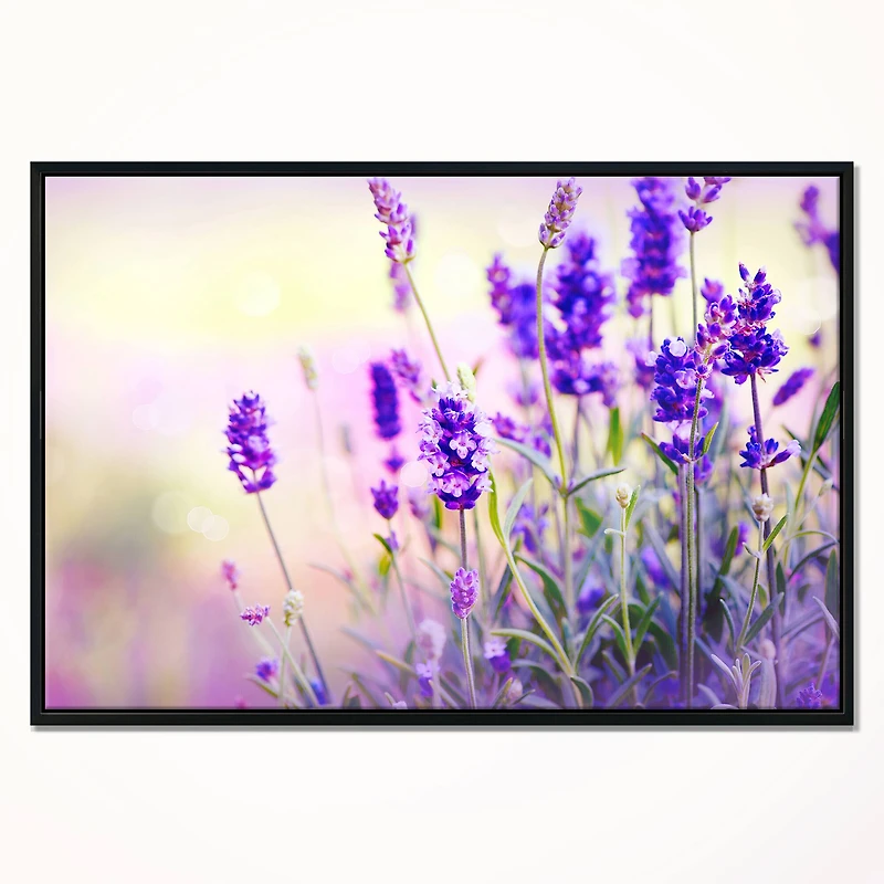 Designart - Purple Lavender Field