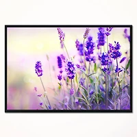 Designart - Purple Lavender Field