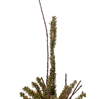2.5ft. Unlit Medium Warsaw Twig Artificial Christmas Tree in Burlap Base