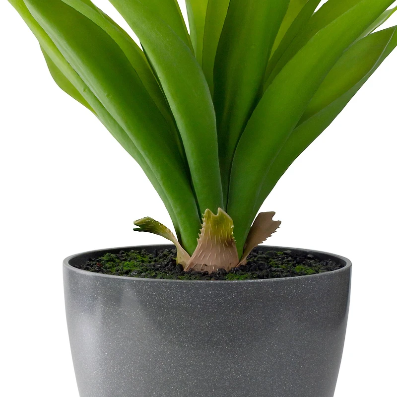 22" Potted Green Agave Plant