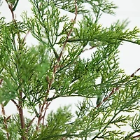 3ft. Pre-Lit Artificial Cypress Tree with Warm White LED Lights