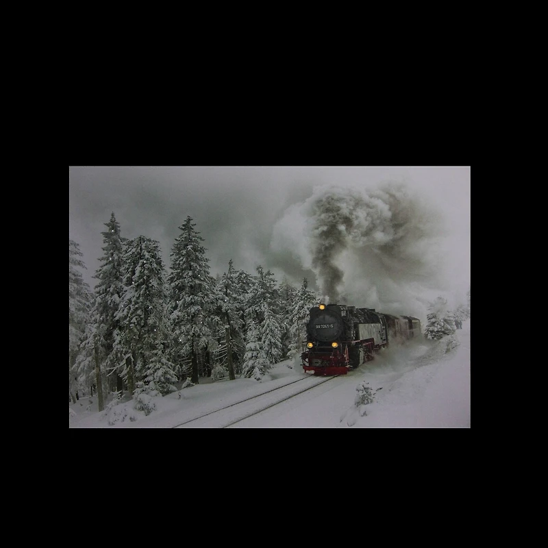 Winter Woods Train Fiber Optic & LED Lighted Canvas Wall Art