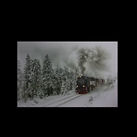 Winter Woods Train Fiber Optic & LED Lighted Canvas Wall Art