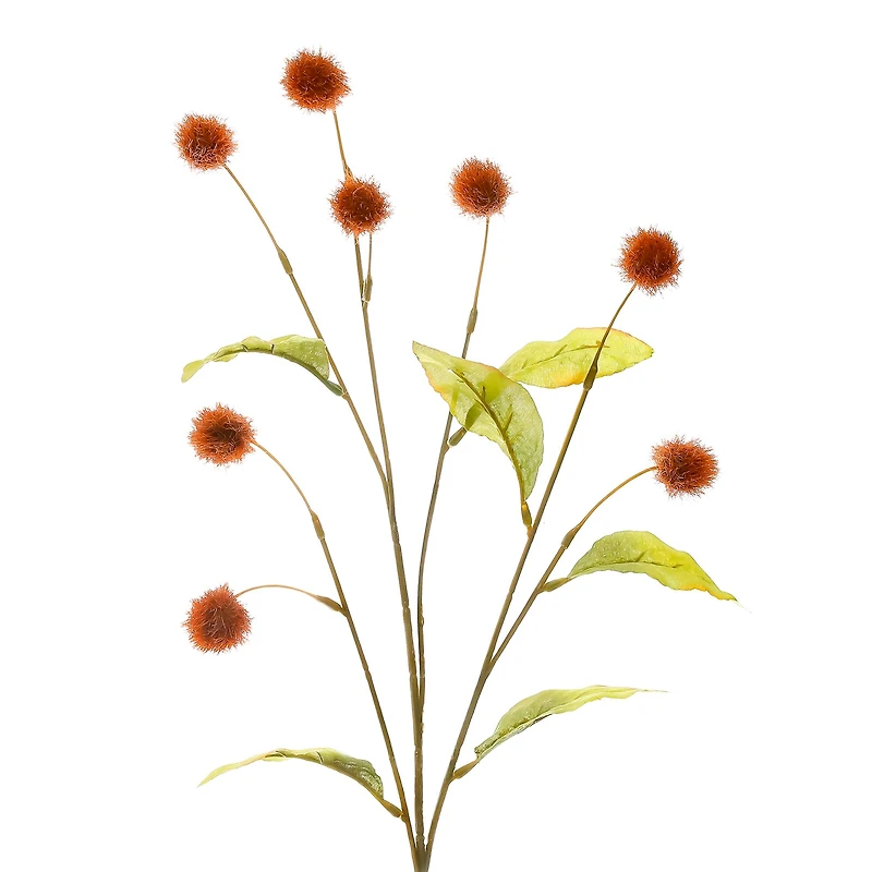 35" Brown Pom Pom Stem by Ashland® 