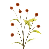 35" Brown Pom Pom Stem by Ashland® 