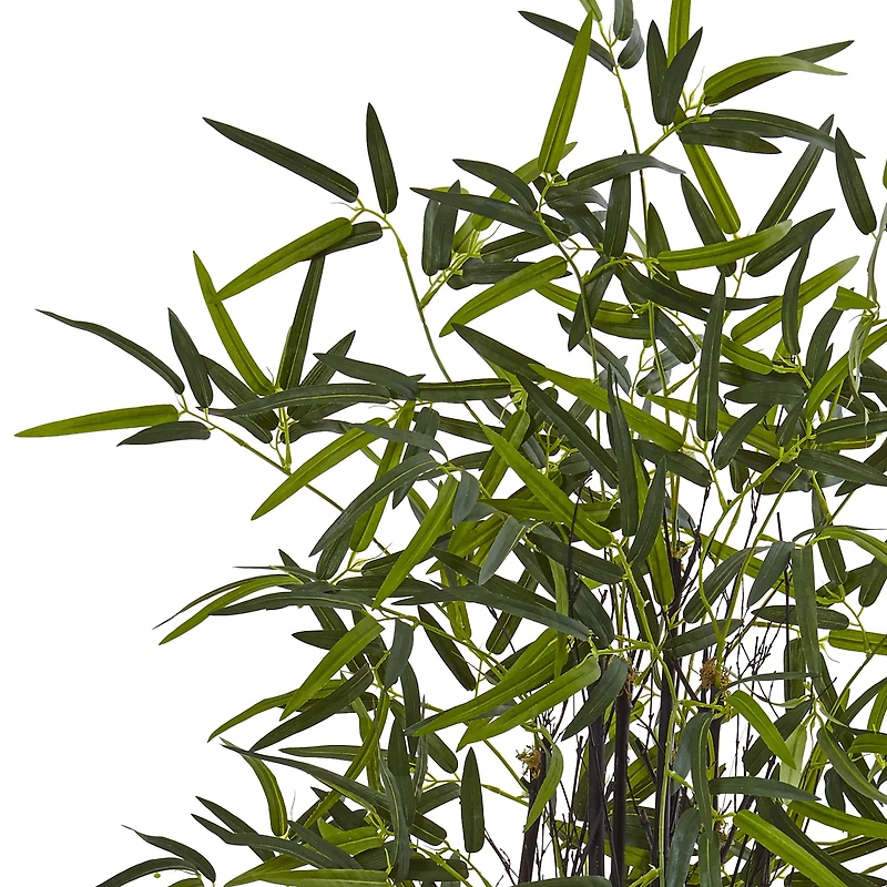 5ft. Black Bamboo Tree in White Oval Planter
