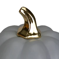 7" Gray & Gold Fall Harvest Ceramic Pumpkin Decoration