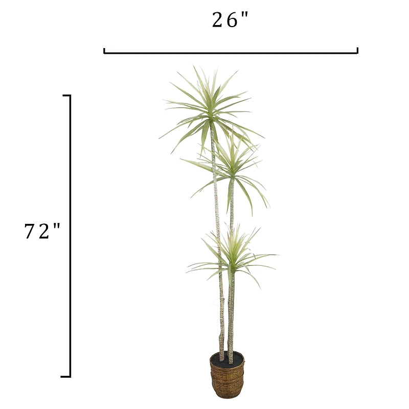 6ft. Yucca Faux Plant in Woven Basket by Ashland®