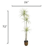 6ft. Yucca Faux Plant in Woven Basket by Ashland®