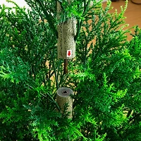 4ft. UV Resistant Artificial Cypress Tower Tree (Indoor/Outdoor)