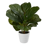 11" Fiddle Leaf Fig Plant in Decorative White Planter
