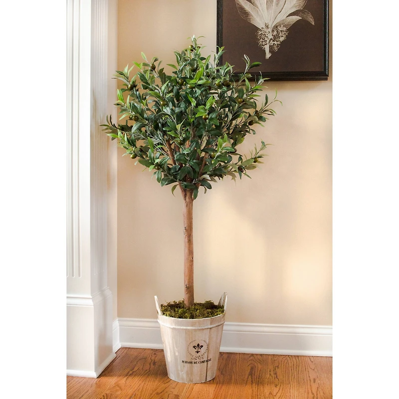 4.5ft. Olive Topiary Tree with Farmhouse Barrel Planter