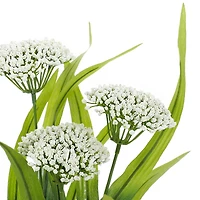 23.5" White Queen Anne's Lace Stem by Ashland®