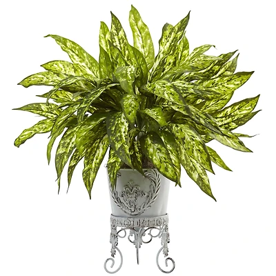 24" Aglaonema with White Metal Planter
