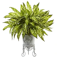 24" Aglaonema with White Metal Planter