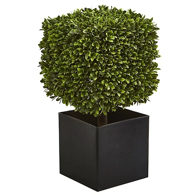 27" Boxwood Artificial Plant in Black Planter