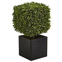 27" Boxwood Artificial Plant in Black Planter