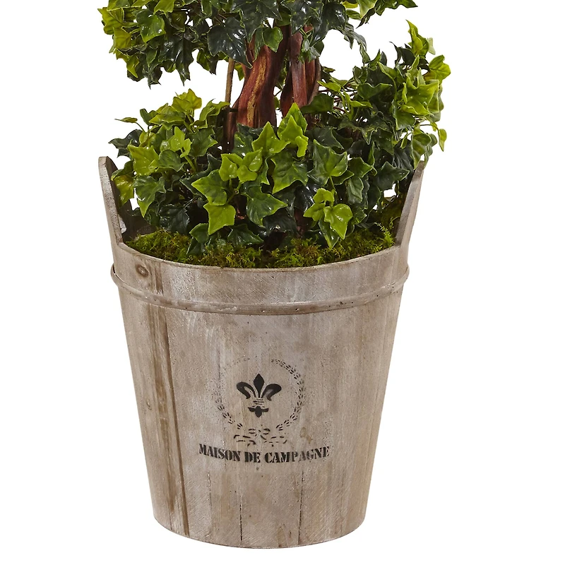 4ft. English Ivy Tree in Farmhouse Planter
