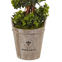 4ft. English Ivy Tree in Farmhouse Planter