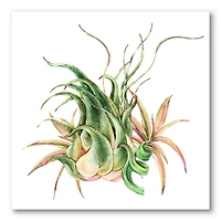 Designart - Tropical Leaves Air Plant Succulent