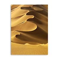 In the Dunes 2 Canvas Giclee