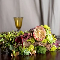 SuperMoss® Preserved Reindeer Moss, Forest