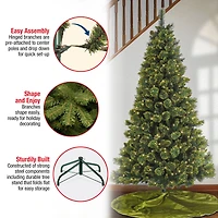 7ft. Pre-Lit Maine Pine Artificial Christmas Tree, Warm White LED Lights