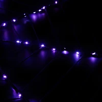 16" Lighted Purple LED Spiderweb Halloween Decoration