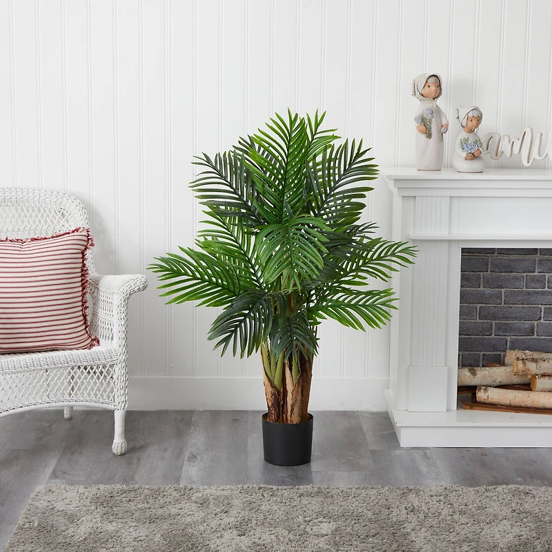 4ft. Potted Kentia Palm Tree