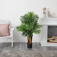 4ft. Potted Kentia Palm Tree