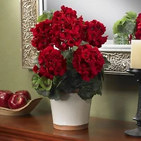 17" Red Geranium In White Decorative Pot