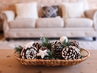 Snowy White Pinecones by Ashland®