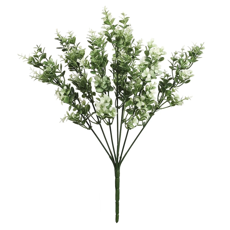 19" Cream Boxwood Bush by Ashland®