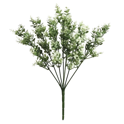 19" Cream Boxwood Bush by Ashland®