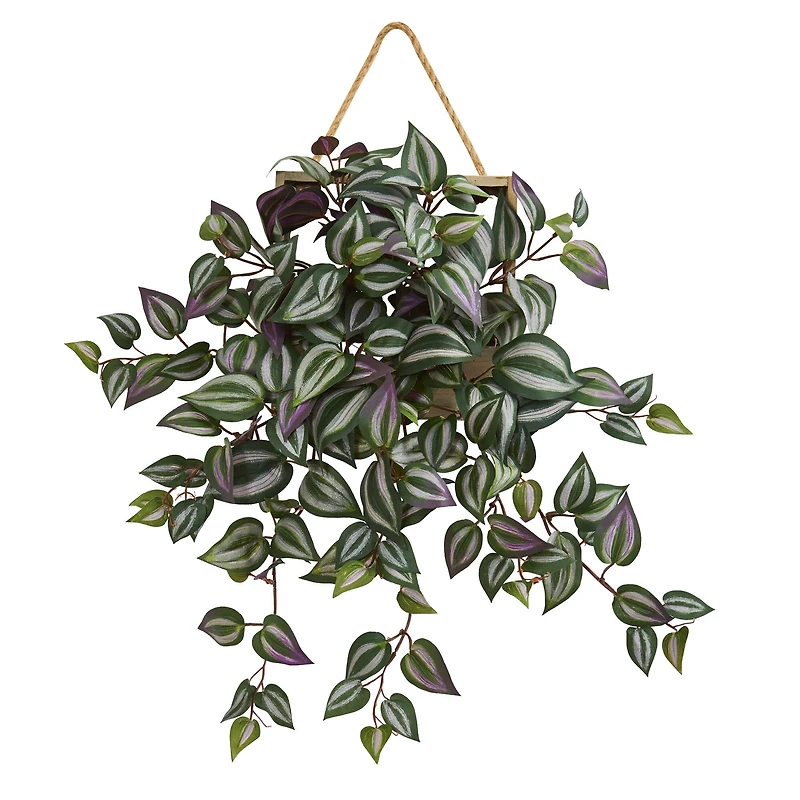 20" Wandering Jew Arrangement in Decorative Hanging Frame
