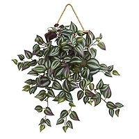 20" Wandering Jew Arrangement in Decorative Hanging Frame