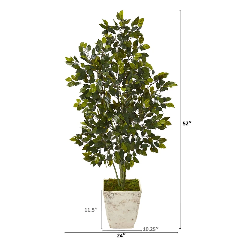 4.3ft. Ficus Tree in Country White Planter 