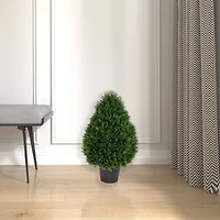 2ft. Potted Cedar Teardrop Shaped Bush