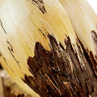 Cream Polystone Coastal Sculpture, Bird 18" x 7" x 7"