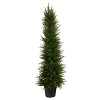 3.5ft. Potted Cypress Tree