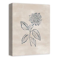 Blye Hydrangea Drawing 12" x 16" Canvas Wall Art