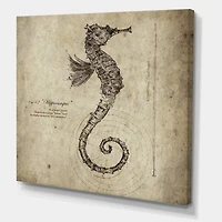 Designart - Seahorse Old Style Sketch