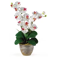 2ft. Double Moth Orchid Silk Flower Arrangement