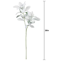 28" Snowy Lamb's Ear Stem by Ashland®