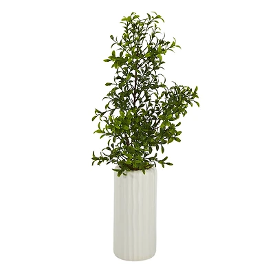 20'' Boxwood Plant in White Planter