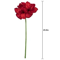 26" Red Jewel Amaryllis Stem by Ashland®