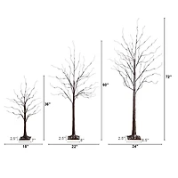 3ft. 5ft. 6ft. Artificial Brown Birch Trees with Warm White LED Lights - Set of 3