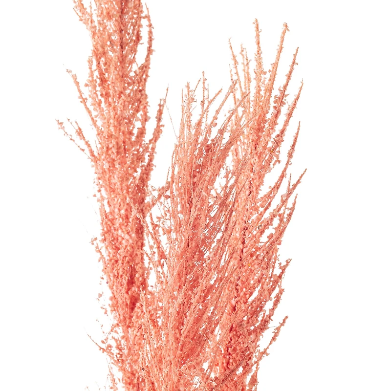Peach Pampas Grass Stem by Ashland®