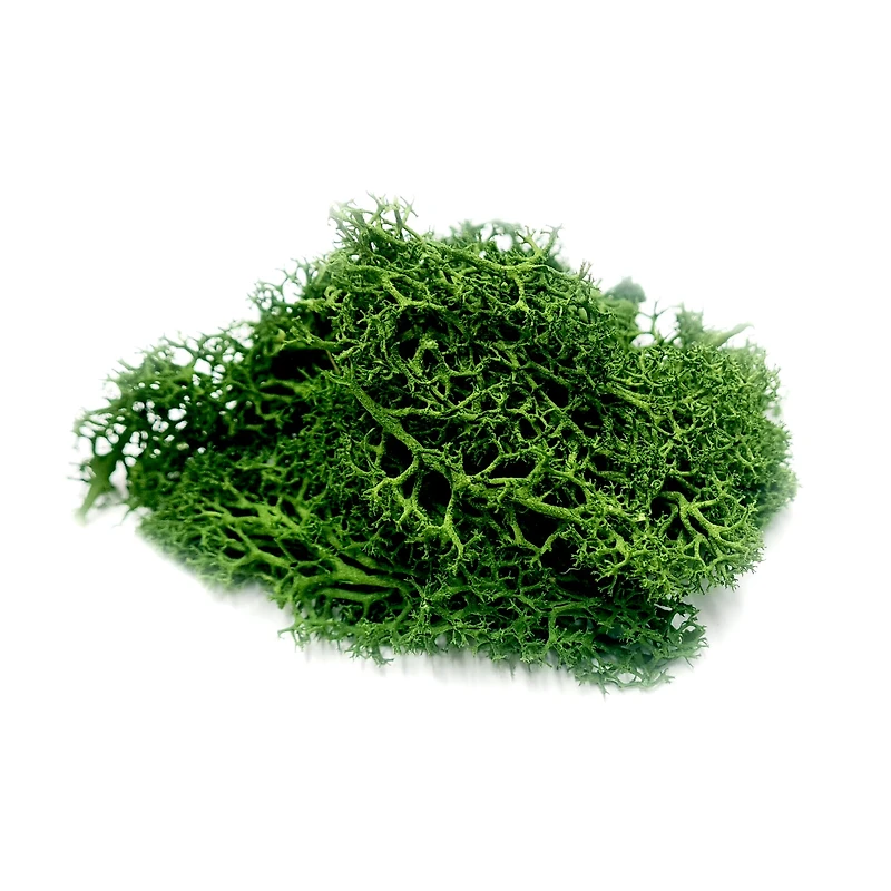 JTT Scenery Products Green Landscape Lichen