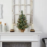 2ft. Pre-Lit Flocked Pine & Berry Artificial Christmas Tree in Burlap Base, Warm White LED Lights